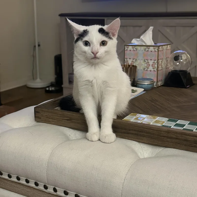 Dean  In The thumbnail 5