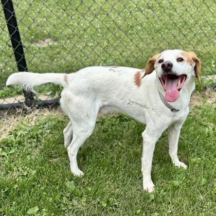 Sherlock thumbnail 3