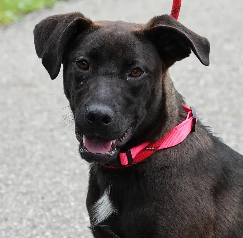 Ariel thumbnail 2