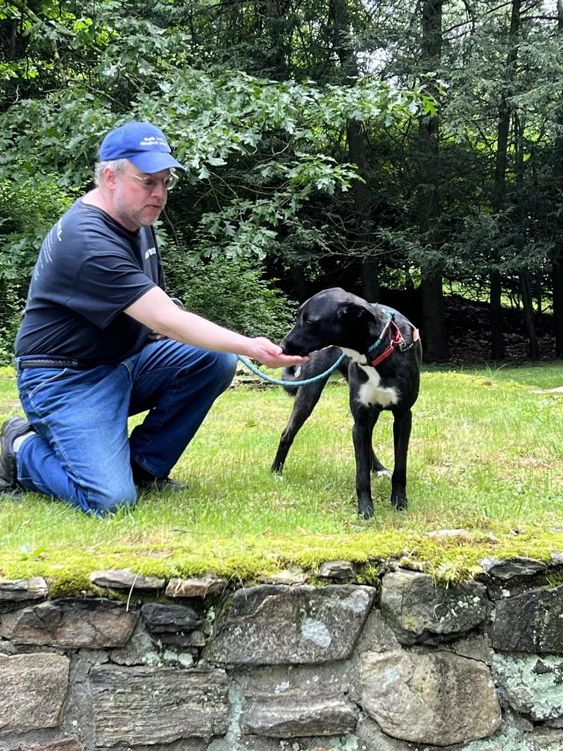 Buttercup thumbnail 2