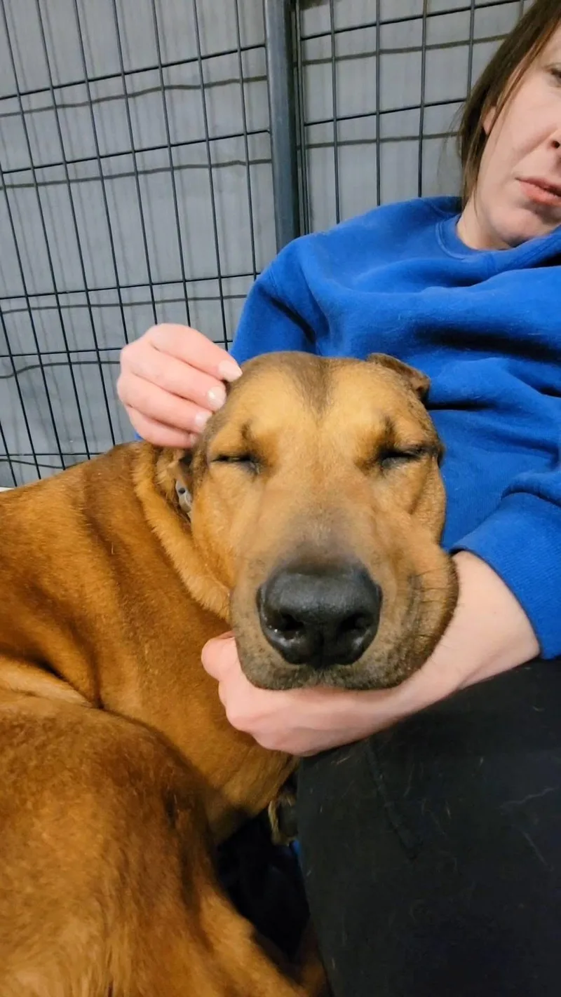 Cleopatra thumbnail 2