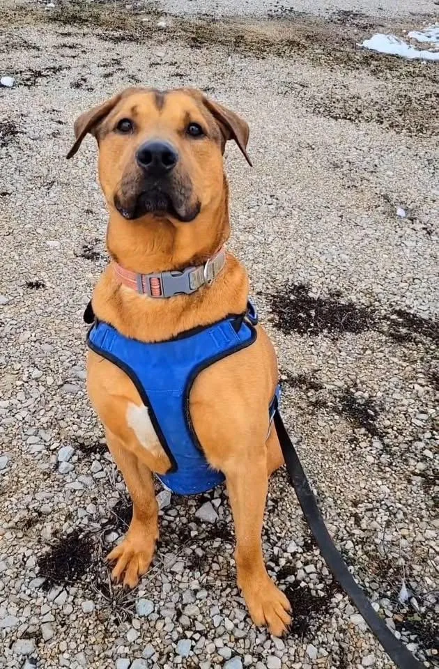 Cleopatra thumbnail 3