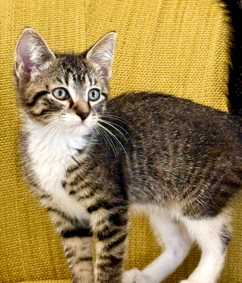 Tabitha thumbnail 6