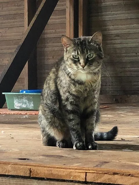 Princess Marie Monterosso thumbnail 2