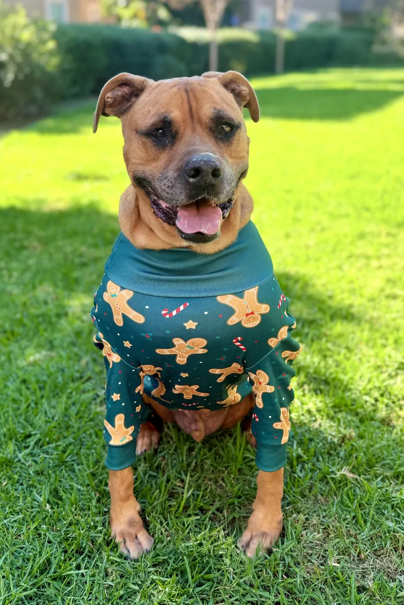 Cjay  The Golden thumbnail 2