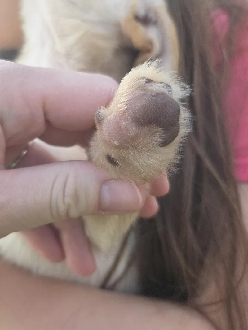 Honey thumbnail 2