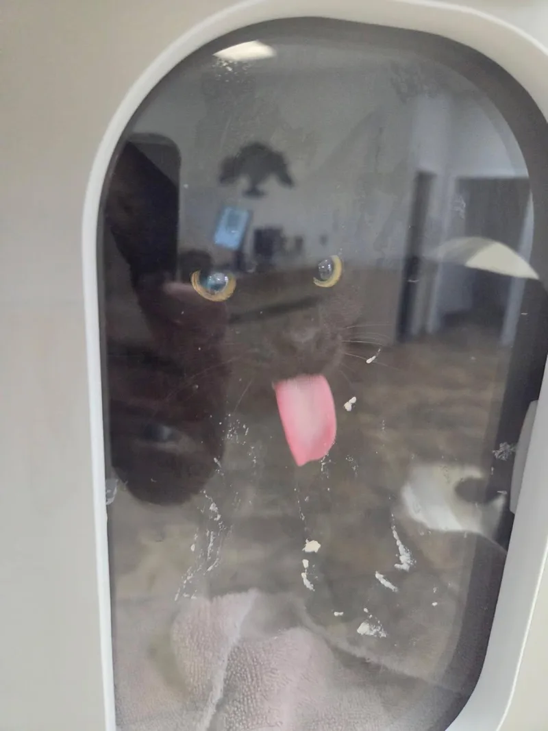 Marceline thumbnail 3