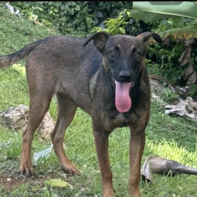 Astrid "truly Yours." thumbnail 2