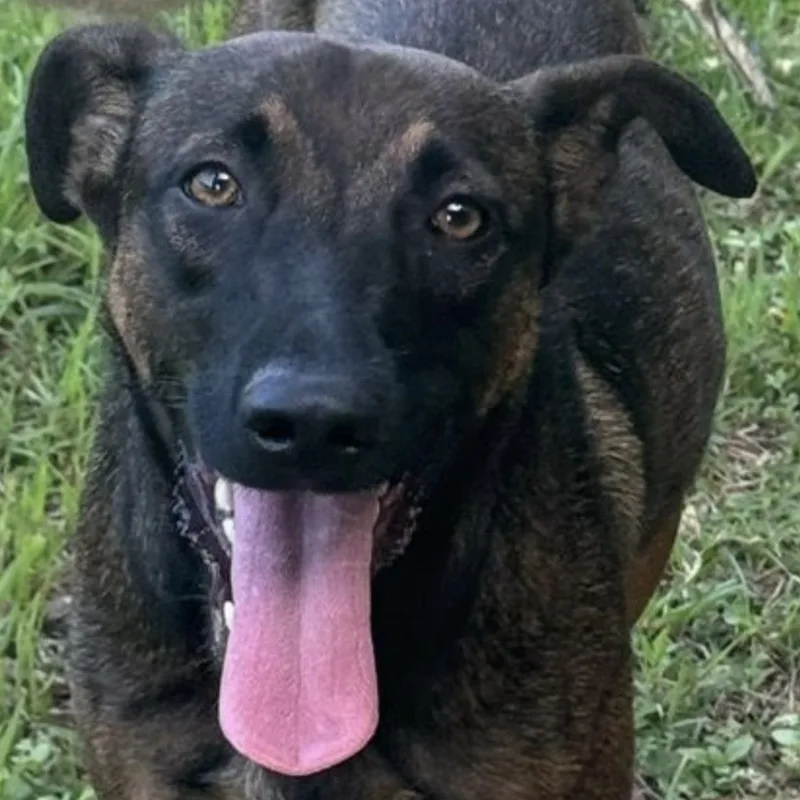 Astrid "truly Yours." thumbnail 4