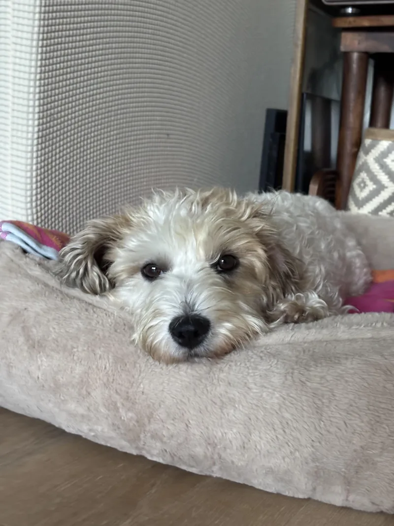 Marnie thumbnail 2