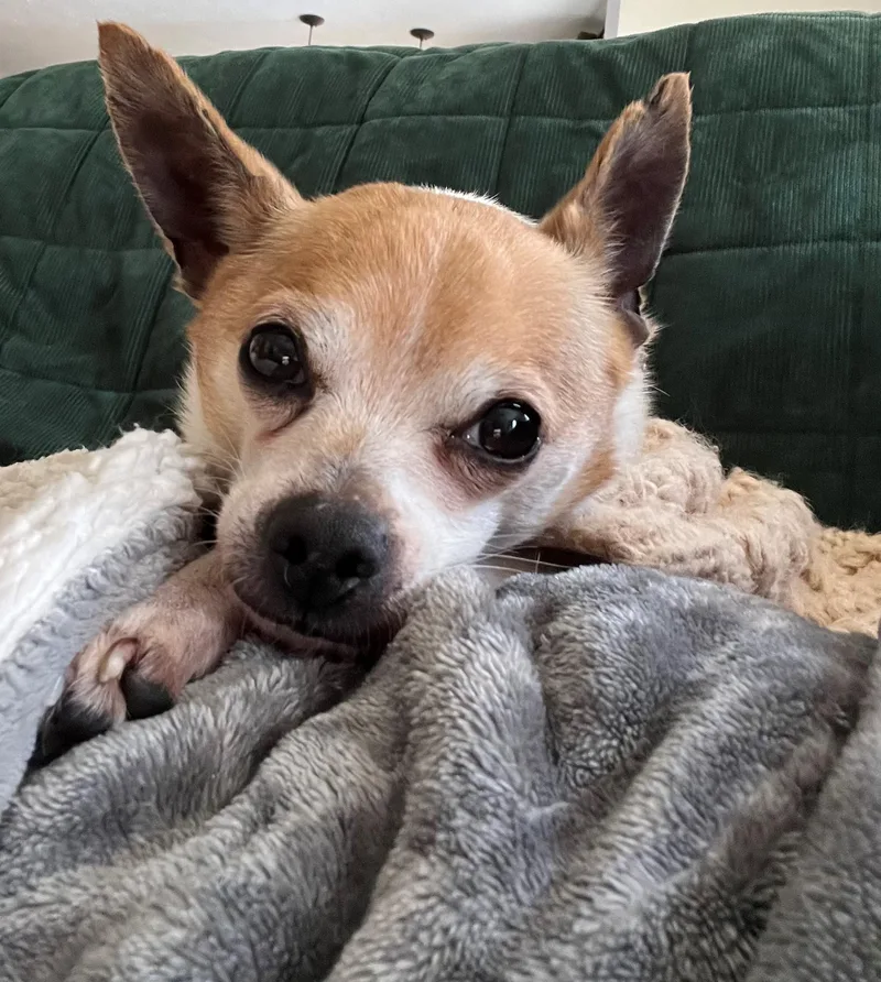 Benny