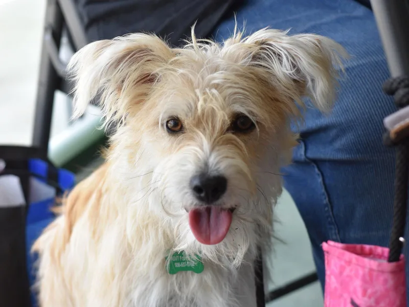 Frannie thumbnail 2
