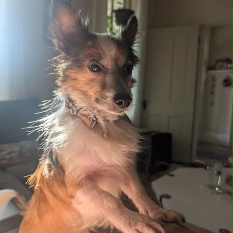 Charlie thumbnail 3
