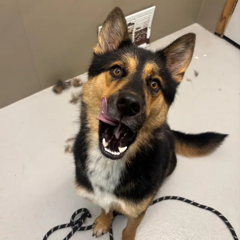 Chance thumbnail 4