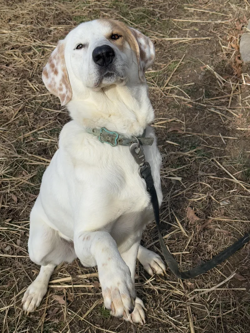 Scarecrow thumbnail 2