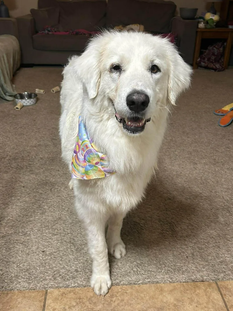 Princess Elsa thumbnail 2