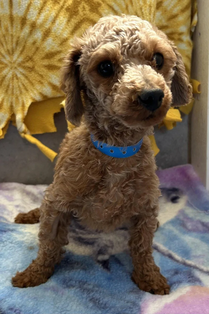 Norman Mar thumbnail 3