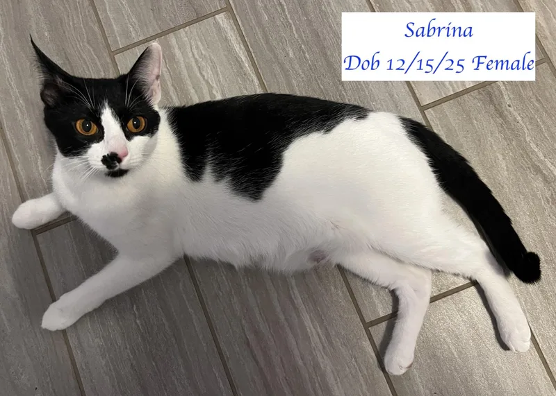 Sabrina thumbnail 3