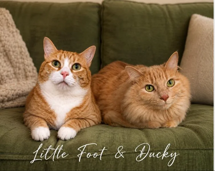 Little Foot  Ducky thumbnail 4