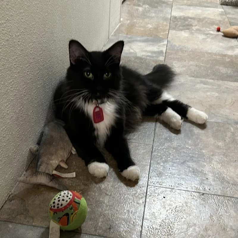 Bonnie Monnie