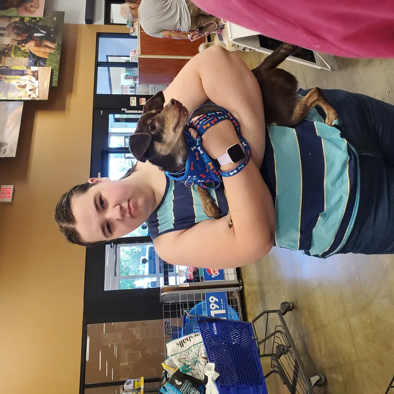 Prince Louie thumbnail 2