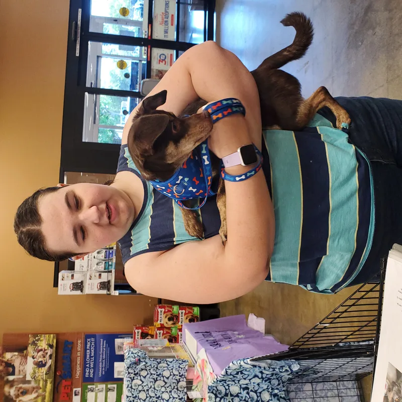 Prince Louie thumbnail 4