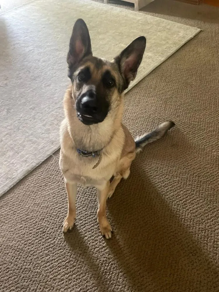 Max