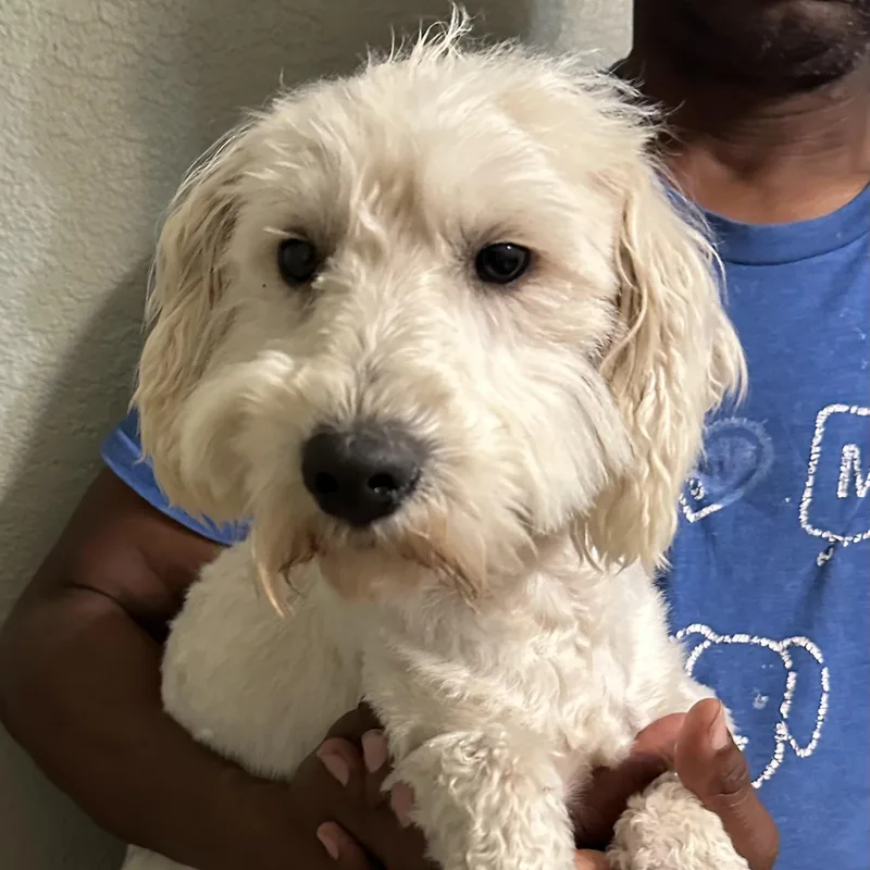 Carson  Local April thumbnail 2