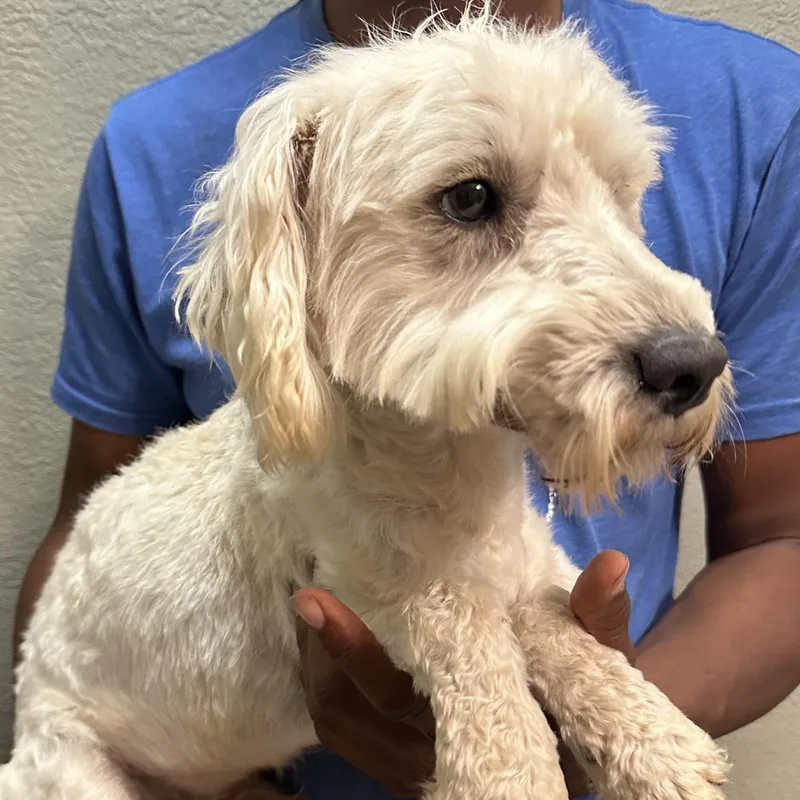 Carson  Local April thumbnail 4