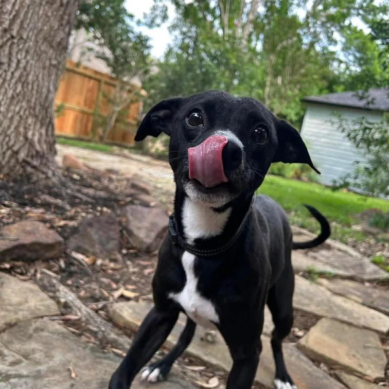 Trinket D Arriving thumbnail 4