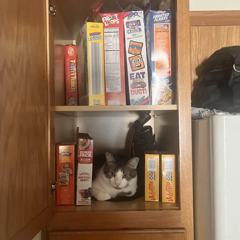 Poindexter thumbnail 4