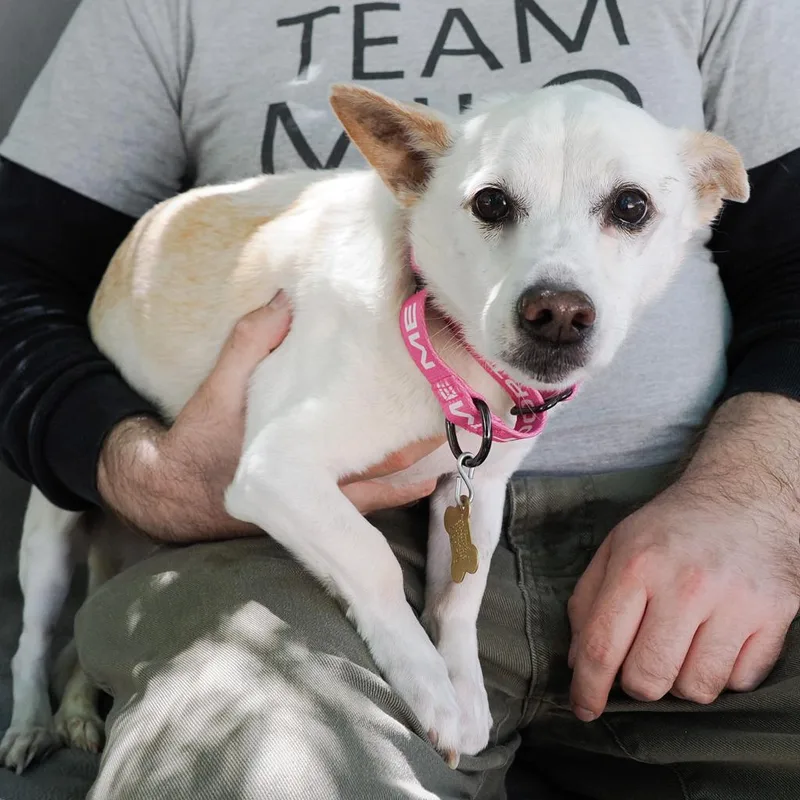 Squiggly thumbnail 2