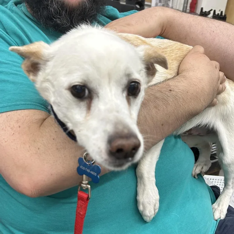 Squiggly thumbnail 3