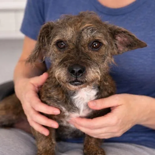 Ursa "ursula" thumbnail 2