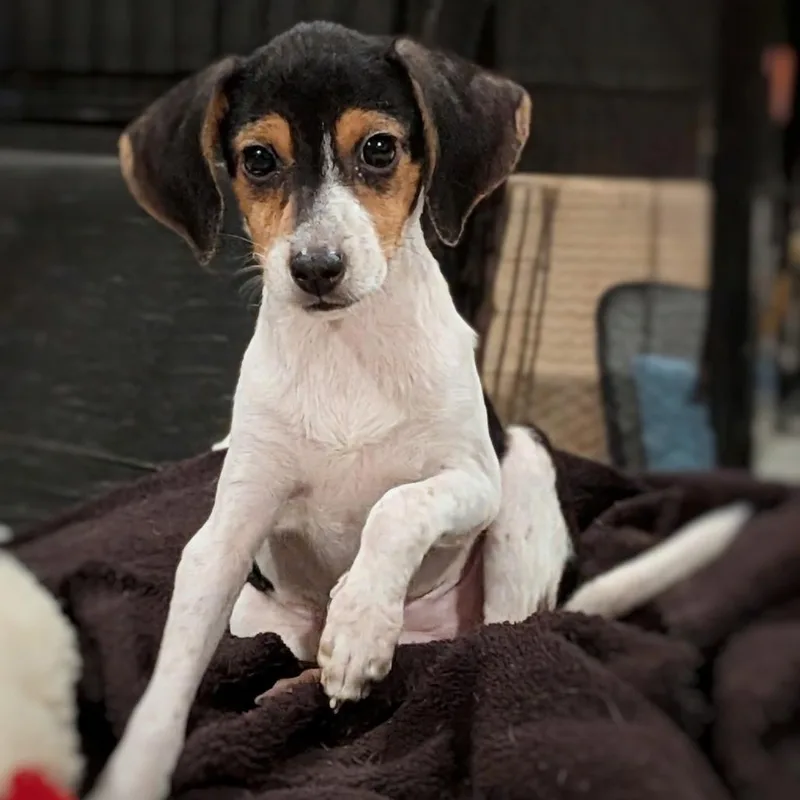 Maggie thumbnail 3