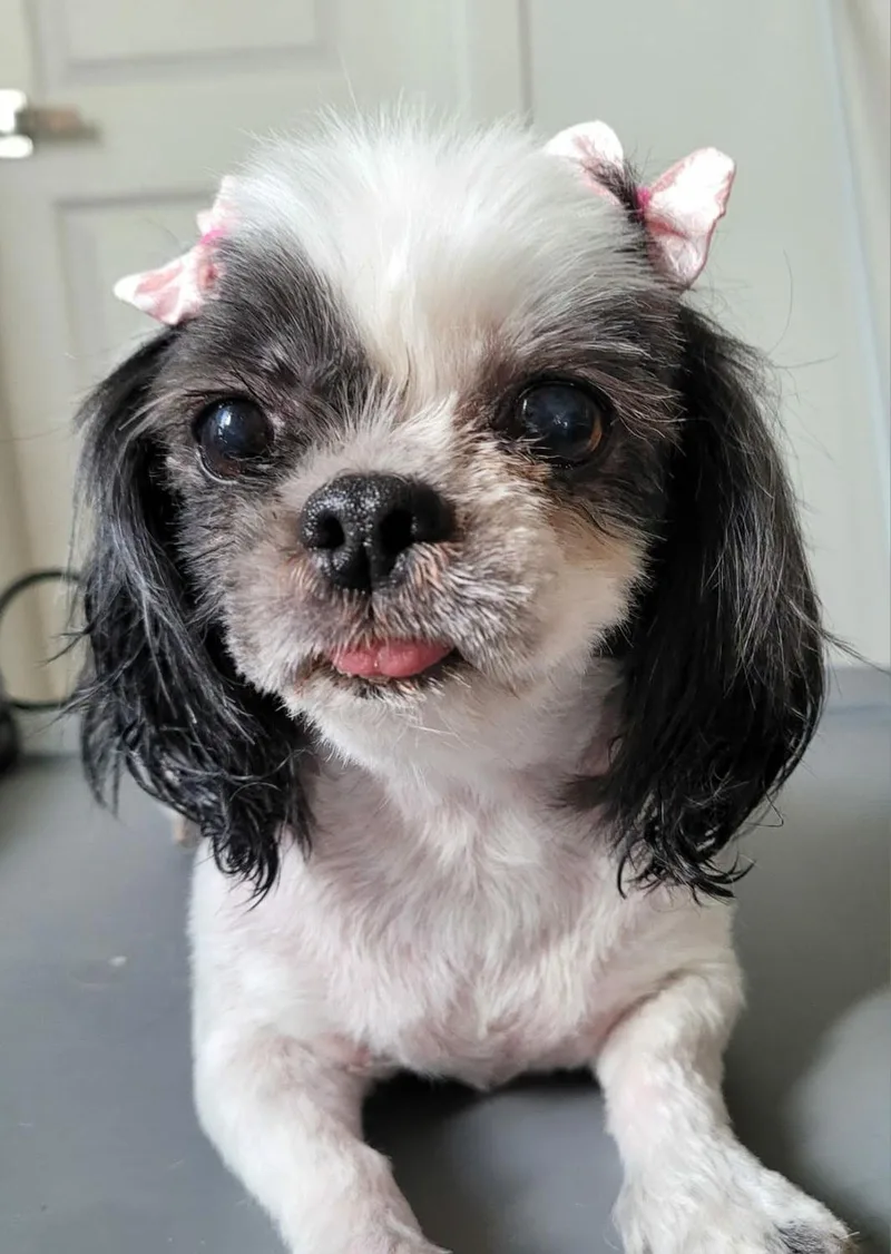 Milly thumbnail 3
