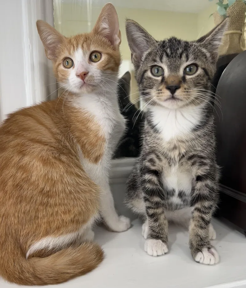 Fred & Bob