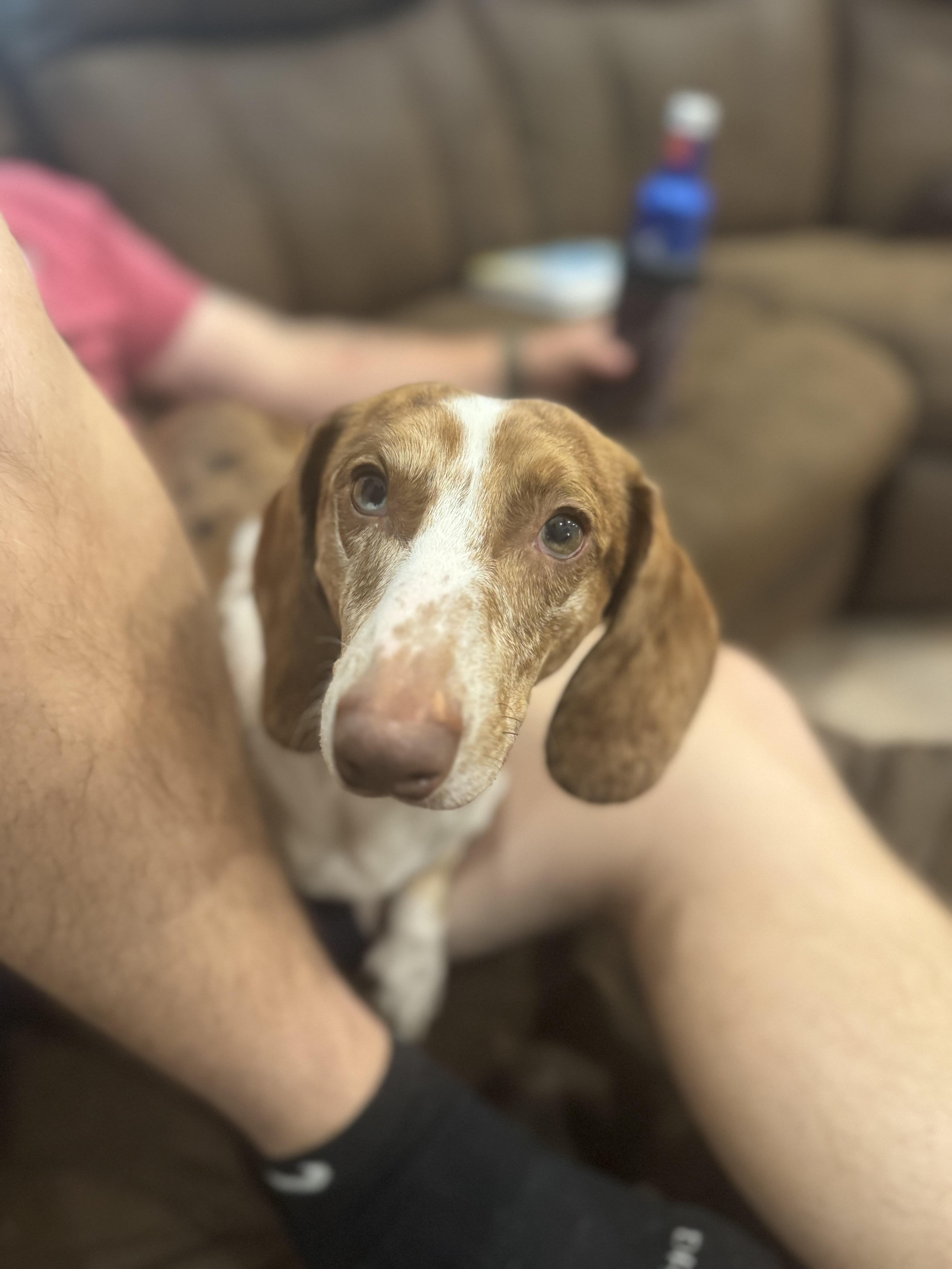 Freckles thumbnail 3