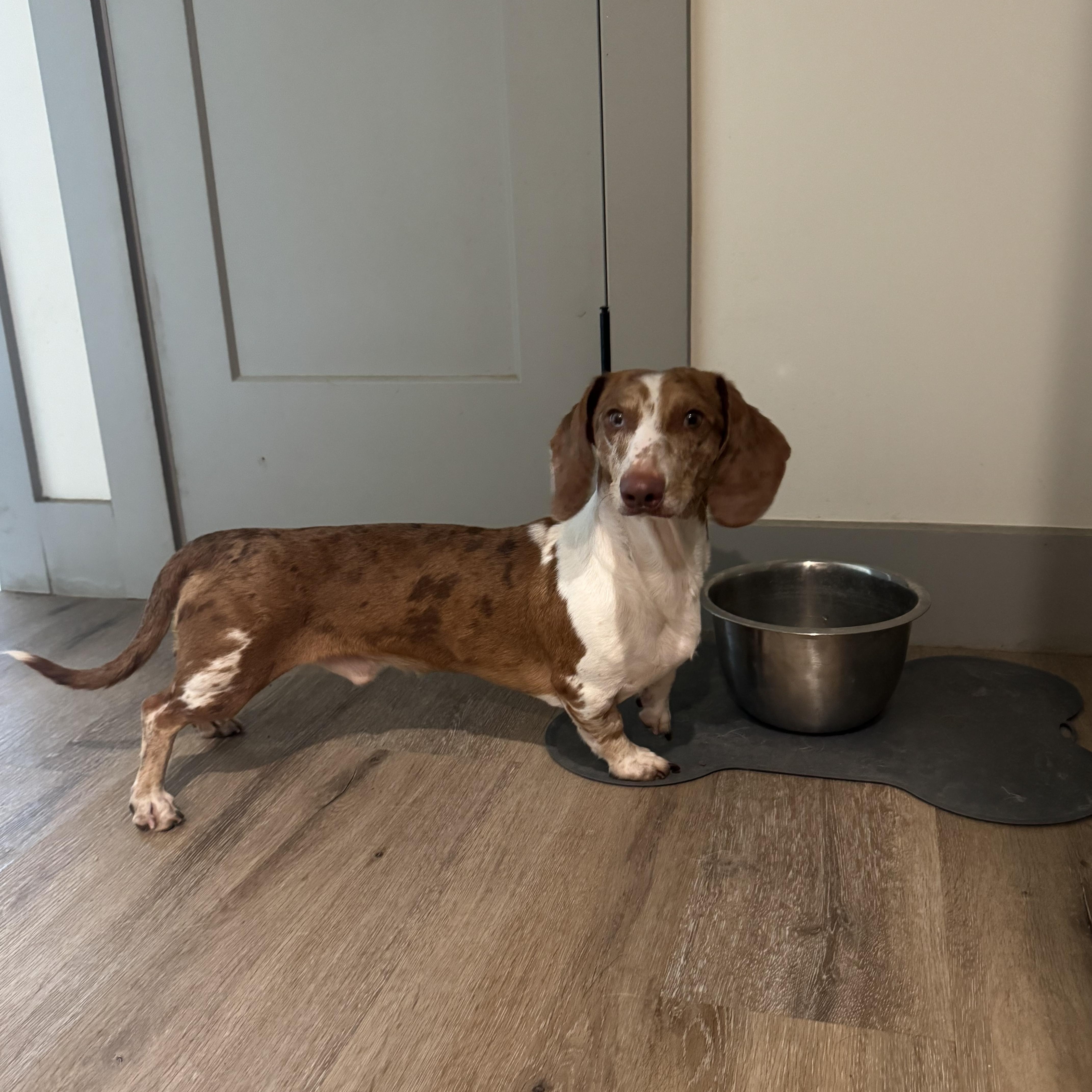 Freckles thumbnail 4