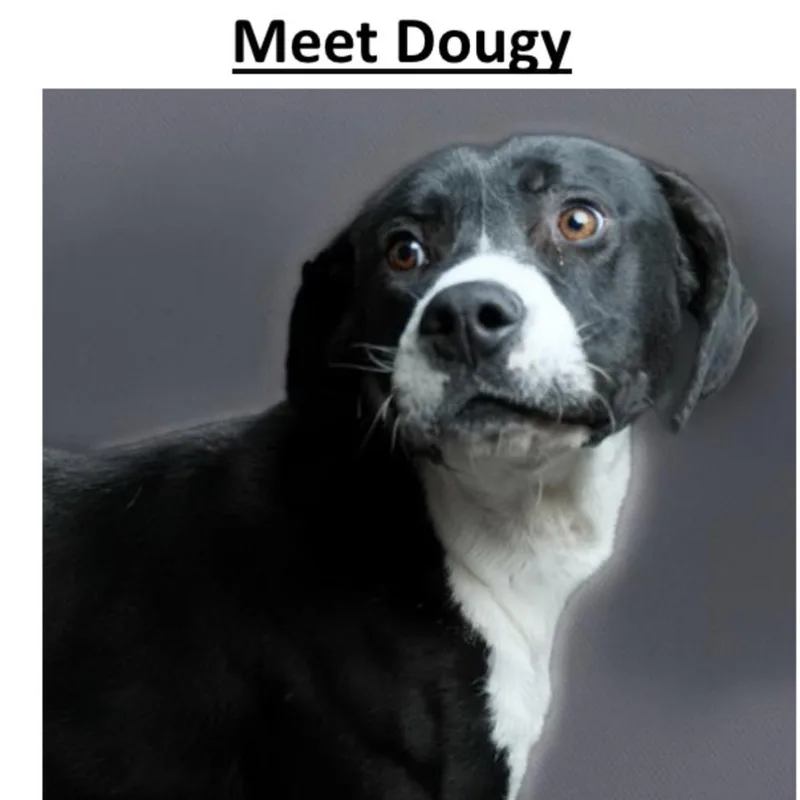 Dougy