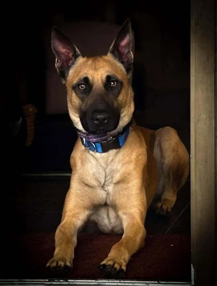 Loki  Located In thumbnail 2