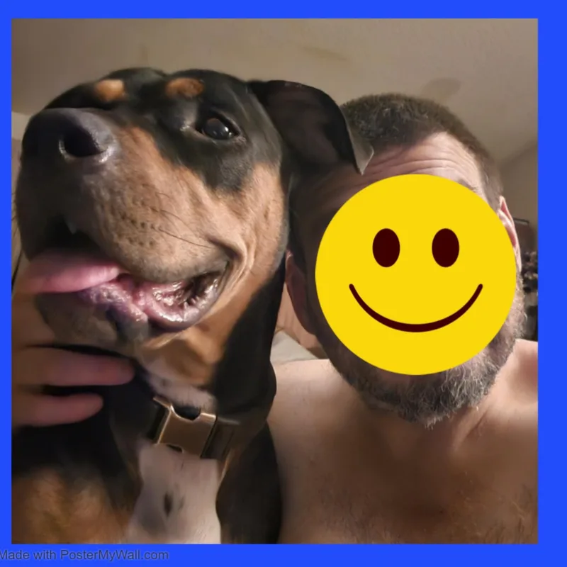 Rosie Girl thumbnail 2