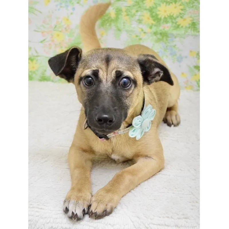 Gwen Ecas thumbnail 6