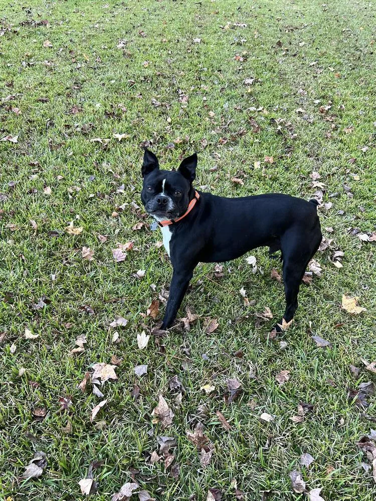 Calvin Rufusjacksonville nc