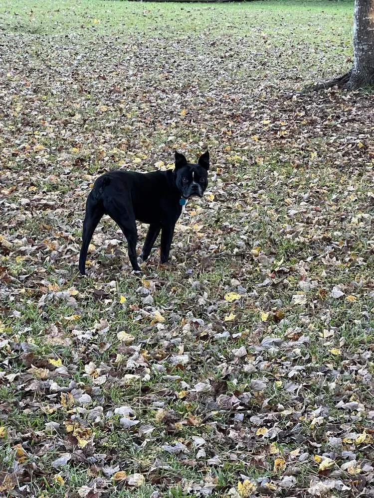 Calvin Rufusjacksonville nc thumbnail 2