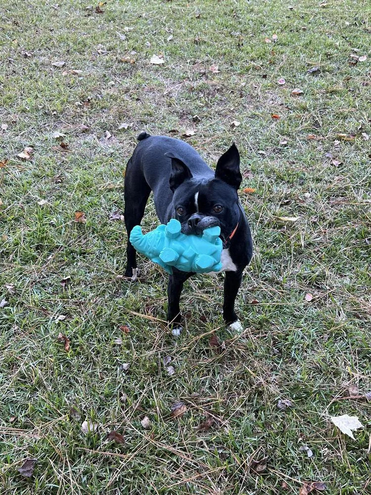 Calvin Rufusjacksonville nc thumbnail 4