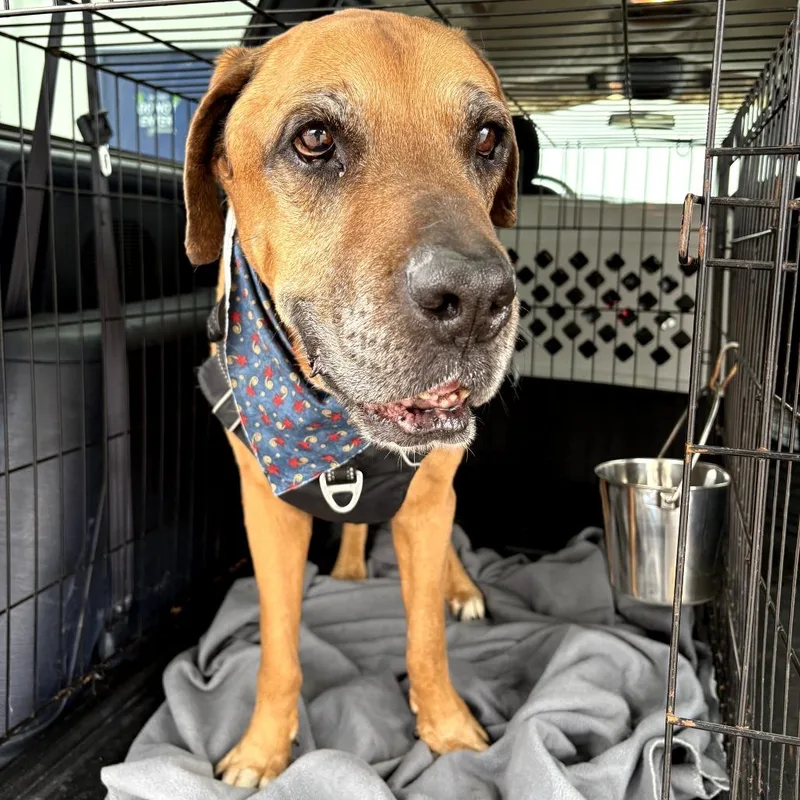 Grizzley thumbnail 2