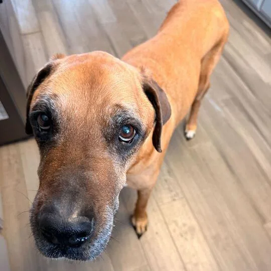 Grizzley thumbnail 3