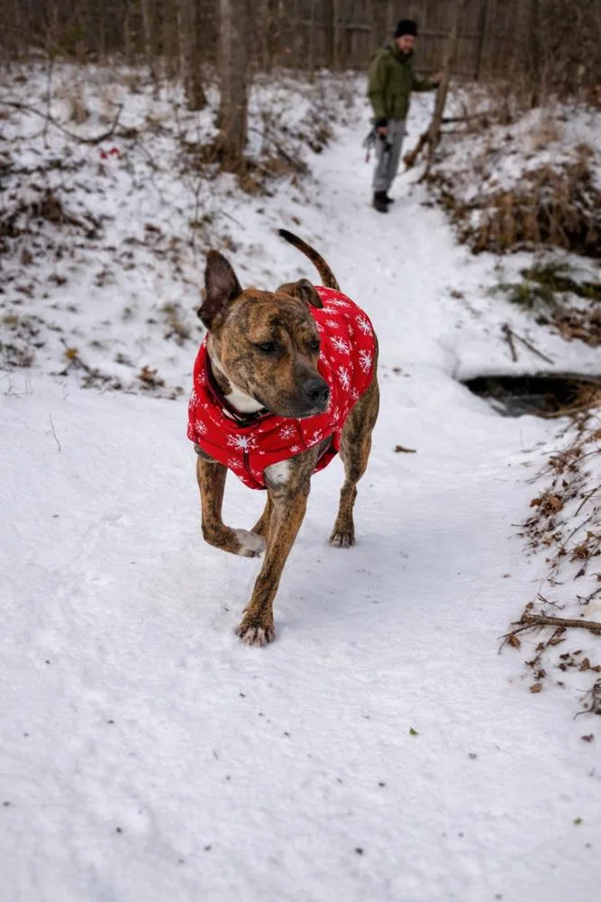 Lily Pka Nessarose thumbnail 2