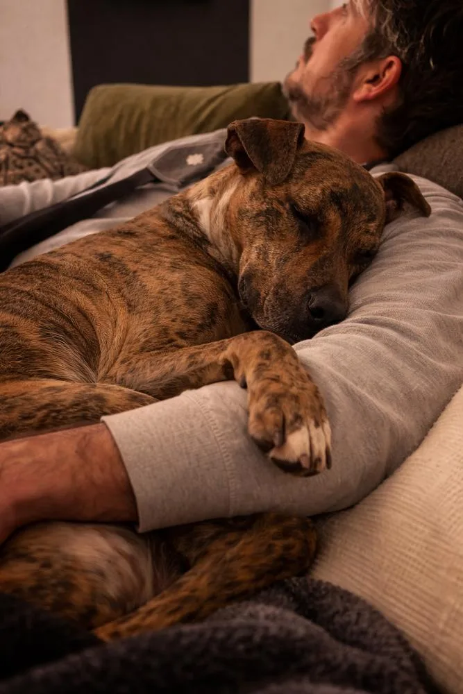 Lily Pka Nessarose thumbnail 5